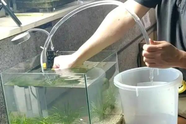 金鱼肚子朝上的原因，可能是失鳔症、喂食过量、细菌感染等