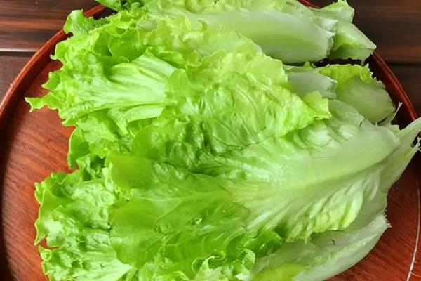 长得像莴笋的蔬菜是什么，是指芥菜、棒菜和油麦菜等