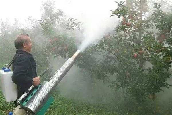 防治苹果锈病的方法，清除寄生植物可减少越冬菌源