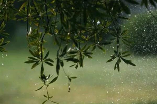 二月二为什么被称为龙抬头，二月份的降雨比较频繁