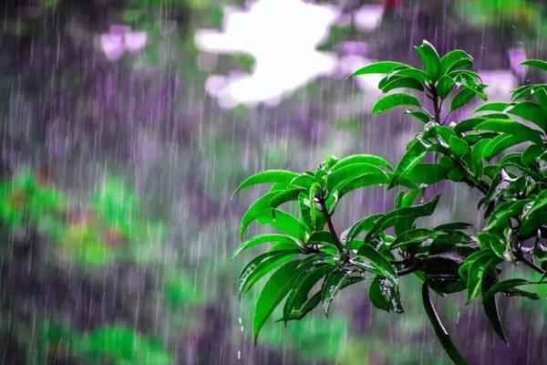 二月二为什么被称为龙抬头，二月份的降雨比较频繁