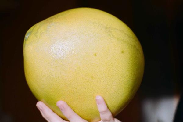 柚子变苦的原因，一般是品种差、生物苷含量多等因素导致