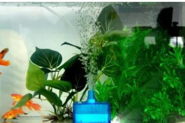 怎么才算爆氧,就是把氧气泵的功率开到最大