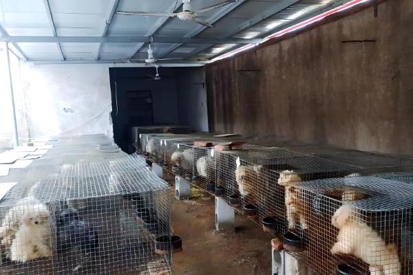 怎么建设狗养殖基地，要将养殖基地与外界隔离