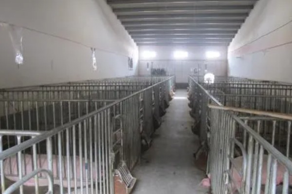 引起猪泪斑的原因，主要是猪舍环境不当