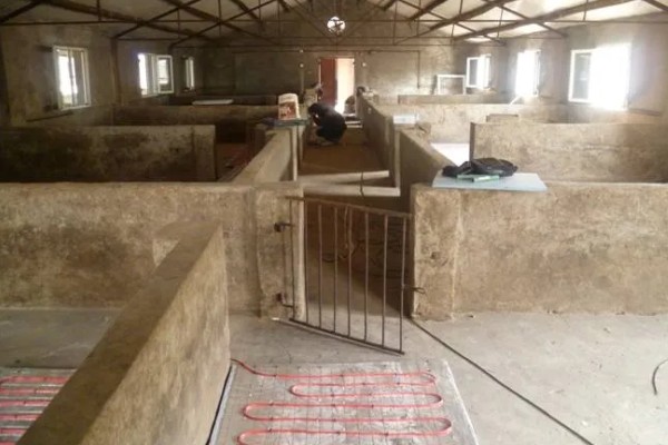 引起猪泪斑的原因，主要是猪舍环境不当