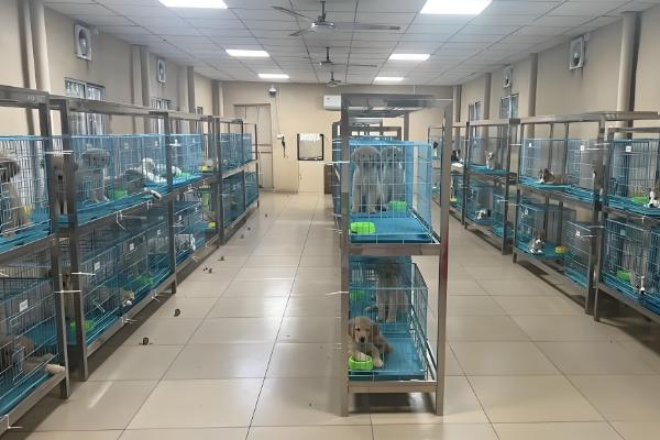 怎么建设狗养殖基地，要将养殖基地与外界隔离