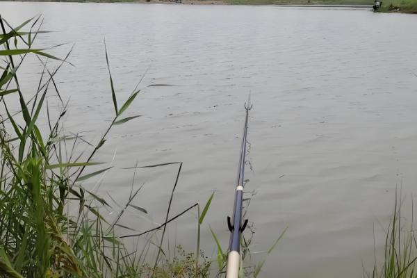 钓鲫鱼最深钓多少米,最深可钓5-6米