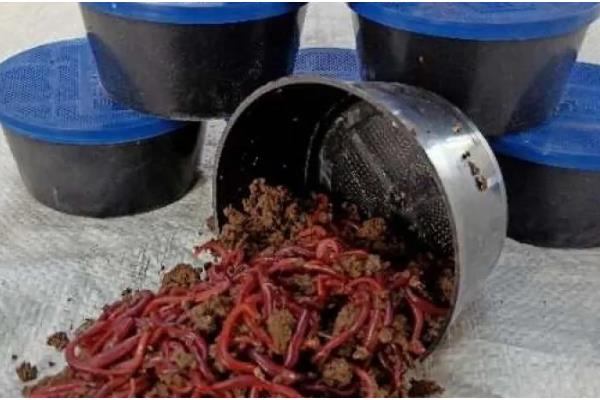 野钓用前打竿还是手竿，取决于鱼情和钓法