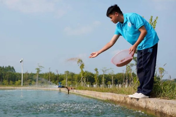 黑鱼养多久才能售卖，经过4-5个月便可上市