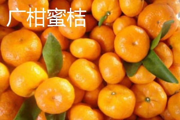 湖南省衡南县的特产，南岳猕猴桃吃法多样