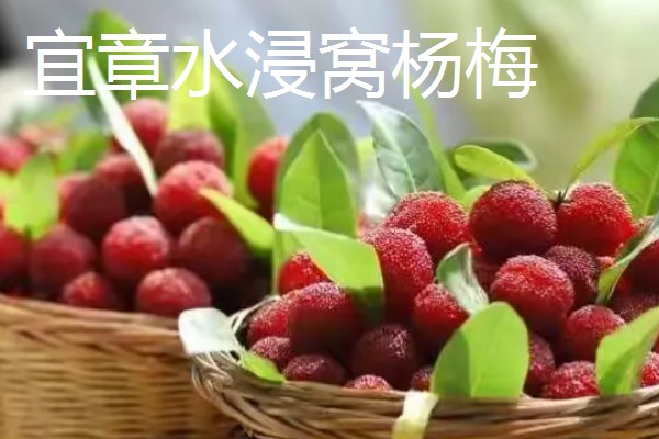 湖南省衡南县的特产，南岳猕猴桃吃法多样