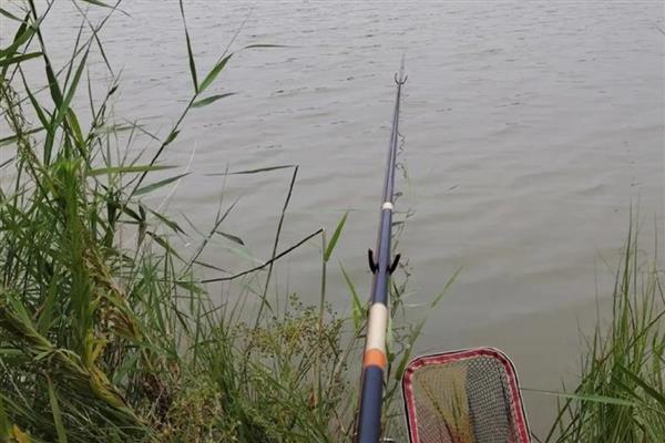 钓草鱼用玉米怎么挂钩，穿过钩尖左右旋转一下