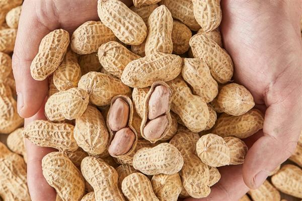 花生的价值，主要是食用价值