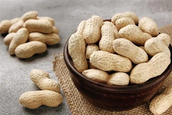 花生的价值，主要是食用价值