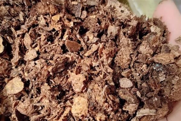 花生的价值，主要是食用价值