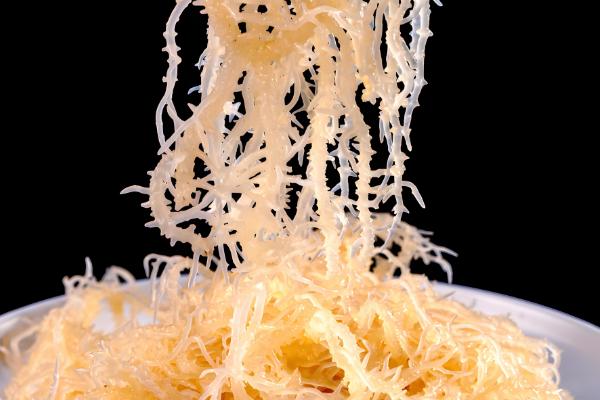 海藻是哪种植物,是海带、石花菜等海洋藻类的总称