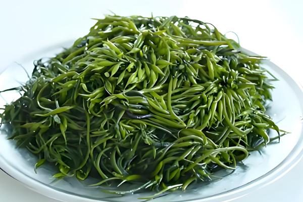 海藻是哪种植物,是海带、石花菜等海洋藻类的总称