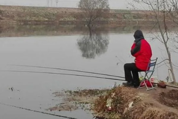 秋季钓鱼怎样选钓位，可以在树荫下、水草区钓鱼