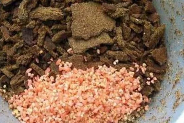 秋季钓鱼怎样选钓位，可以在树荫下、水草区钓鱼