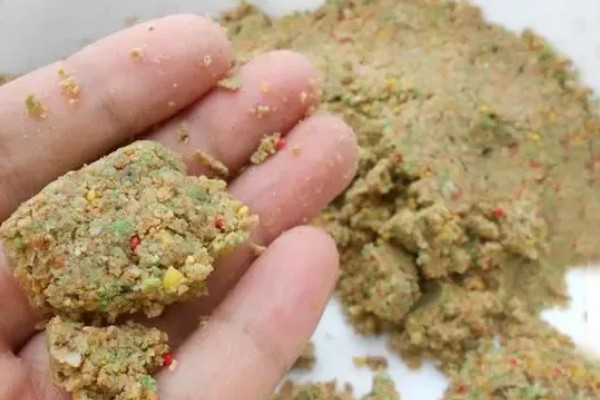 秋季钓鱼怎样选钓位，可以在树荫下、水草区钓鱼