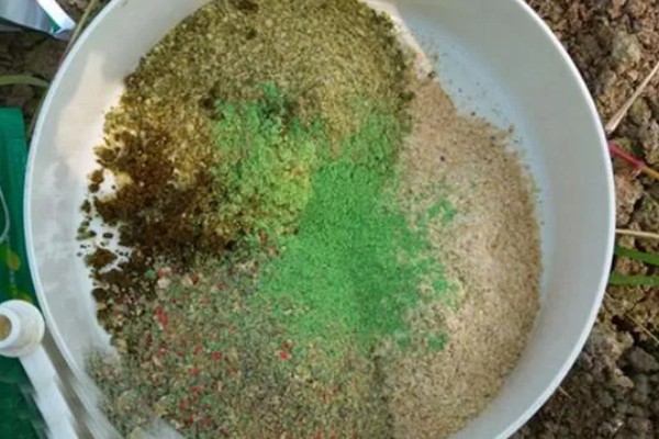 秋季钓鱼怎样选钓位，可以在树荫下、水草区钓鱼