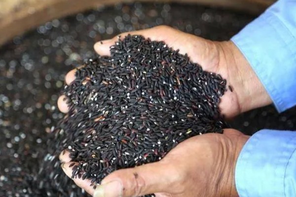 黑米的产地，主要分布在陕西、贵州及湖南等地