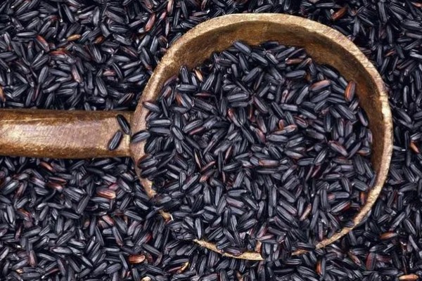 黑米的产地，主要分布在陕西、贵州及湖南等地