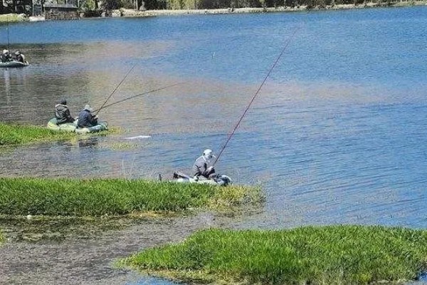 秋季钓鱼怎样选钓位，可以在树荫下、水草区钓鱼