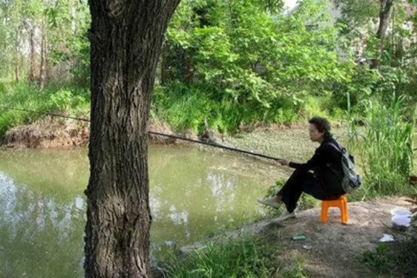 秋季钓鱼怎样选钓位，可以在树荫下、水草区钓鱼