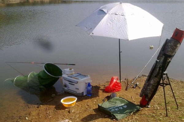 秋季钓鱼怎样选钓位，可以在树荫下、水草区钓鱼