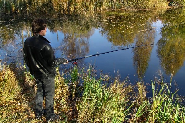 秋季钓鱼怎样选钓位，可以在树荫下、水草区钓鱼