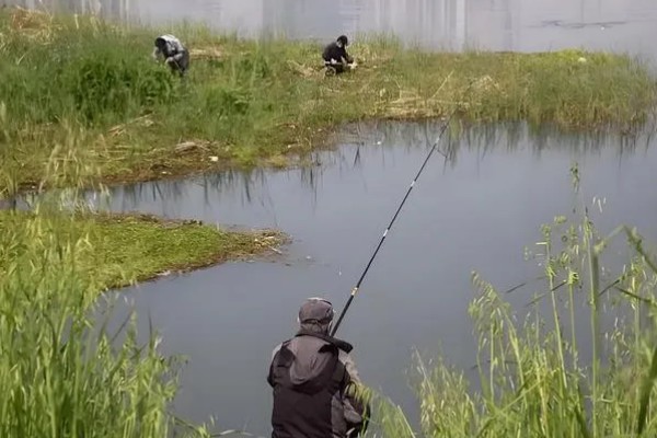 秋季钓鱼怎样选钓位，可以在树荫下、水草区钓鱼