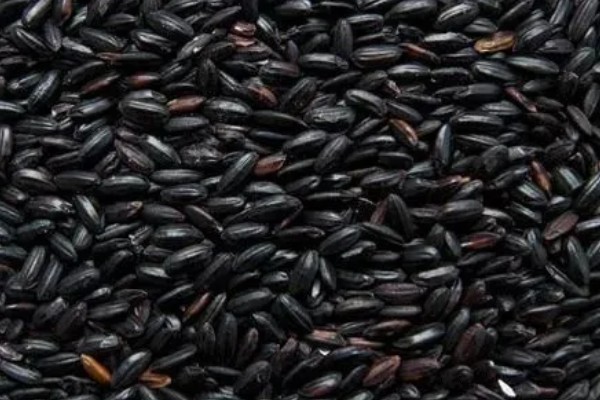 黑米的产地，主要分布在陕西、贵州及湖南等地