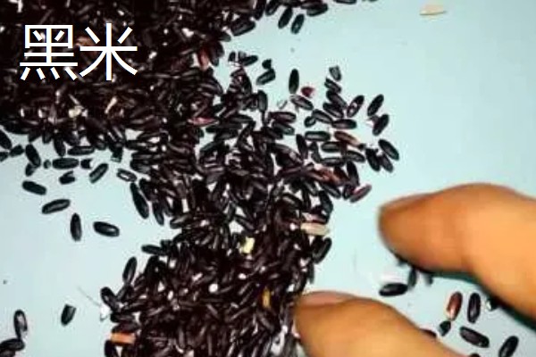 黑米的产地，主要分布在陕西、贵州及湖南等地