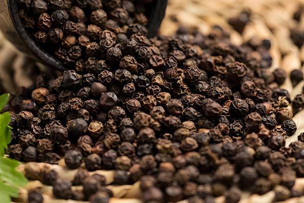 白胡椒和黑胡椒哪个好,根据自己的口味选择