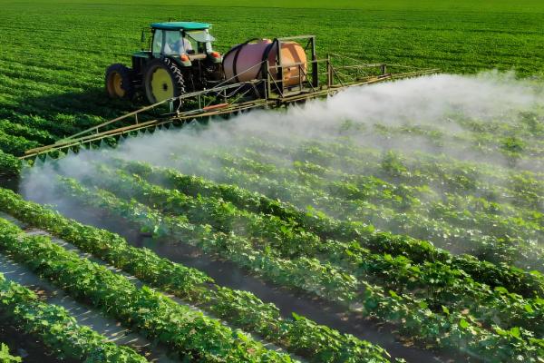 噻虫啉可以防治哪些害虫，蚜虫、飞虱、蓟马等种类均可灭杀