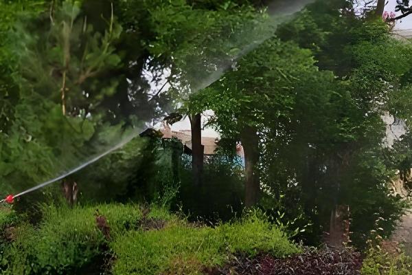 噻虫啉可以防治哪些害虫，蚜虫、飞虱、蓟马等种类均可灭杀