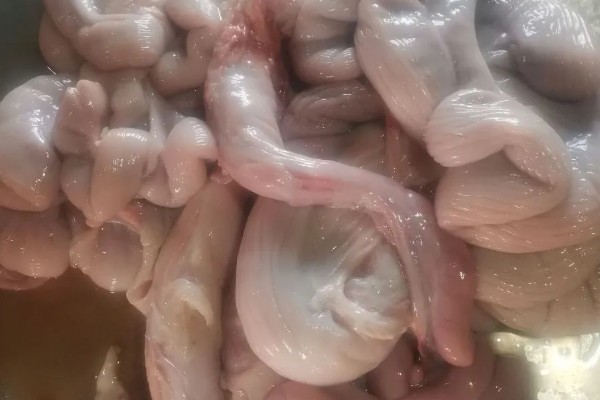 如何清洗猪生肠，先将肥油剪除