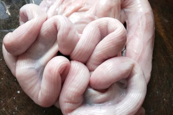 如何清洗猪生肠，先将肥油剪除