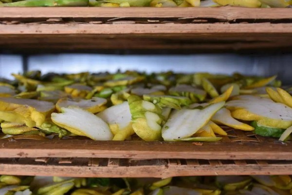 佛手生长多久才可以收获，栽后4-5年开始开花结果