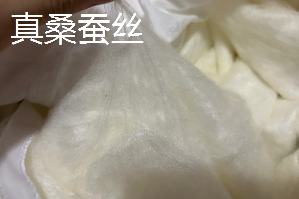 桑蚕丝如何辨别真假，可以用火烧来分辨