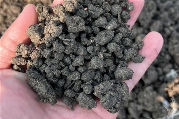 鸡粪肥的种类,主要分为天然鸡粪干、颗粒鸡粪肥等类型