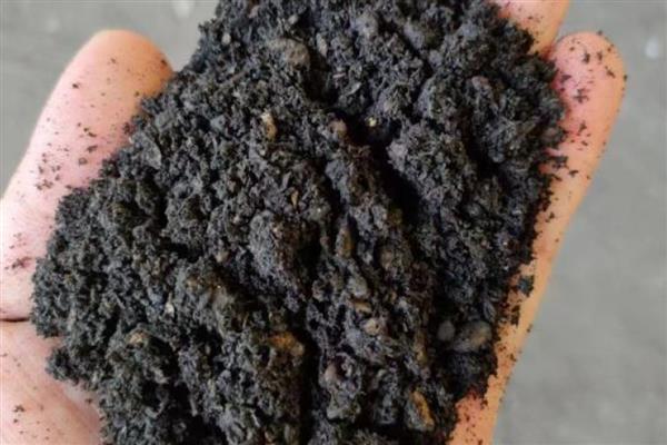 鸡粪肥的种类,主要分为天然鸡粪干、颗粒鸡粪肥等类型