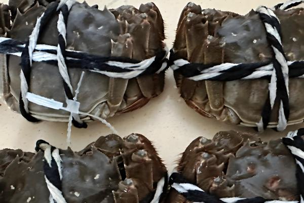 淡水螃蟹有什么品种,河蟹、大闸蟹等品种很常见