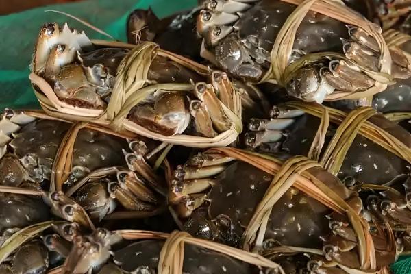 淡水螃蟹有什么品种,河蟹、大闸蟹等品种很常见