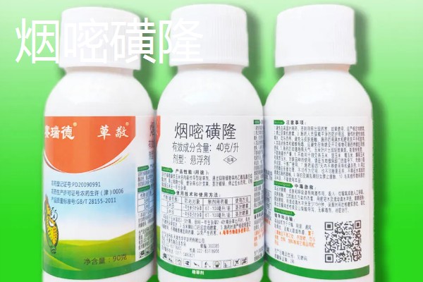 硝灭氰草津对玉米田安全吗，对于玉米安全