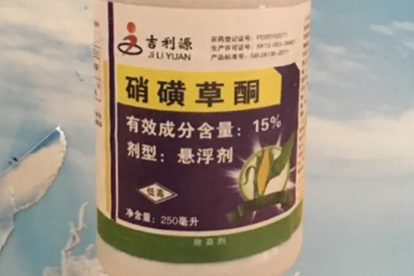 硝灭氰草津对玉米田安全吗，对于玉米安全