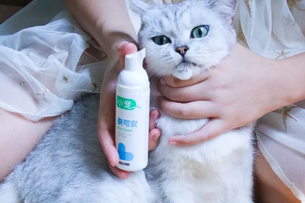 猫身上有螨虫怎么办,隔离消毒后对它喷涂除螨喷剂