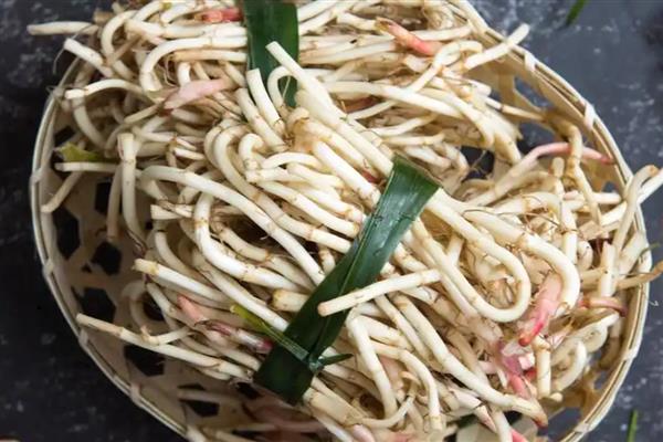 鱼腥草是折耳根吗，鱼腥草是折耳根